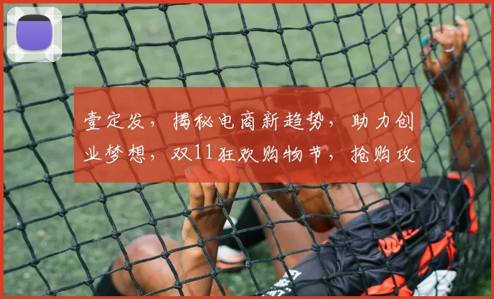 壹定发，揭秘电商新趋势，助力创业梦想，双11狂欢购物节，抢购攻略大放送，不容错过