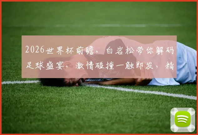 2026世界杯前瞻，白岩松带你解码足球盛宴，激情碰撞一触即发，精彩不容错过