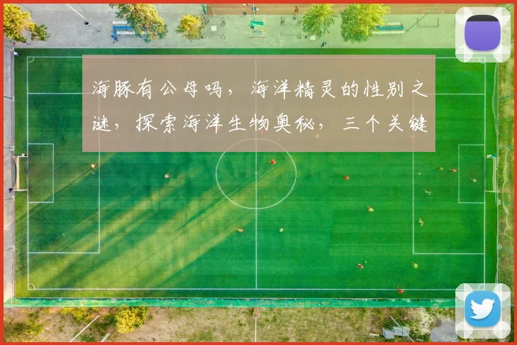 海豚有公母吗，海洋精灵的性别之谜，探索海洋生物奥秘，三个关键点，一网打尽