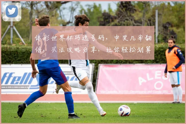 体彩世界杯巧选号码，中奖几率翻倍，买法攻略分享，让你轻松划算购彩