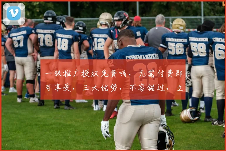 一级推广授权免费吗，无需付费即可享受，三大优势，不容错过，立即了解