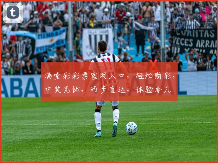 满堂彩彩票官网入口，轻松购彩，中奖无忧，两步直达，体验非凡