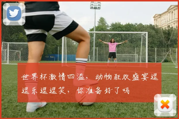 世界杯激情四溢，动物狂欢盛宴逗逗乐逗逗笑，你准备好了吗