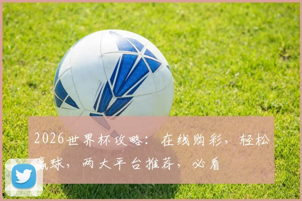 2026世界杯攻略：在线购彩，轻松赢球，两大平台推荐，必看